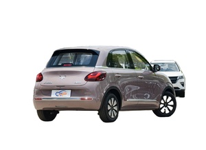Mini SUV électrique de style Bingguo 2023, charge rapide, autonomie de 203 km, compact, nouvelle énergie, berline électrique pour usage privé - Product Image 4