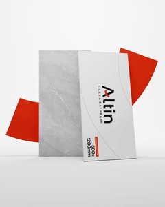 Azulejos de porcelana vitrificada Premium de 600x1200mm | Belaris Bianco-Acabado tallado | Azulejo de 24x48 pulgadas para interiores de lujo - Product Image 1