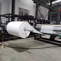Ligne d'extrusion pour la fabrication de feuilles et de matelas en mousse LDPE avec applications pour films/profils/tuyaux, machine extrudeuse à vis simple