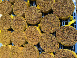 ส่งออกโดยตรง ยาสูบคุณภาพพรีเมียม เยนไป๋ อบเชยคาเซีย จากเวียดนาม - Product Image 3