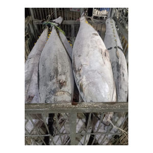 Atún amarillo congelado de alta calidad preparado para venta al por mayor a distribuidores y minoristas - Product Image 3