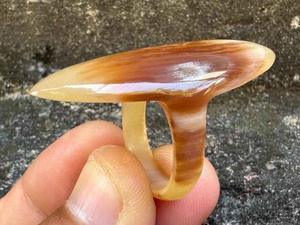 Anillo de Cuerno de Búfalo Pulido, Joyería para Fiestas, Bodas y Aniversarios, Color Natural, Gran Venta - Product Image 2