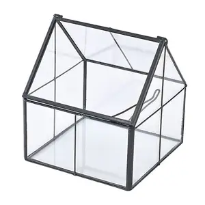 Excellent Quality Glass Terrarium For Living Room Or Dining Room Decoration Item Glass Terrarium Supplier & Manufacture