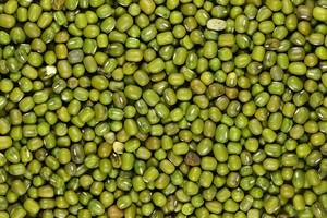 Premium sprouting mung <b>beans</b> moong Vigna offered in 100g 250g 1kg 25kg bulk <b>bags</b> ideal <b>for</b> wholesalers retailers and bulk buyers - Product Image 5