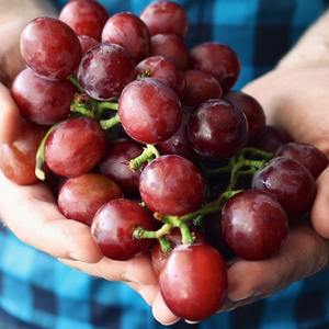 องุ่นไร้เมล็ดสีแดงสดฉ่ำรสชาติคุณภาพสูงสินค้าส่งออกคุณภาพสูง - Product Image 1