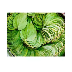 100% BIO SECO BETEL LEAVESTRADICIONAL, FRESCO Y FÁCIL DE USAR - Product Image 5