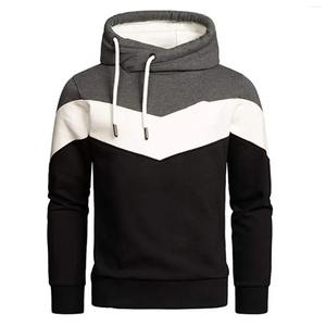 Sweat à capuche Streetwear personnalisé pour hommes de haute qualité 210gsm coton lourd sans cordon OEM teinture unie coupe normale anti-rides - Product Image 6