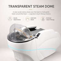 Chaise de lavage de cheveux électrique à vapeur avec dôme, générateur de vapeur, équipement de massage pour salon