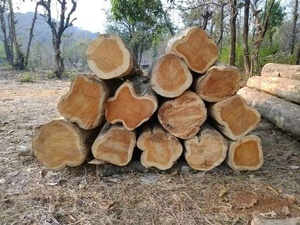 Tự nhiên rắn gỗ tếch bảng và tấm cho cửa ra vào cửa sổ cao cấp Mộc đồ gỗ ngoài trời tấm và xuất khẩu xây dựng - Product Image 2