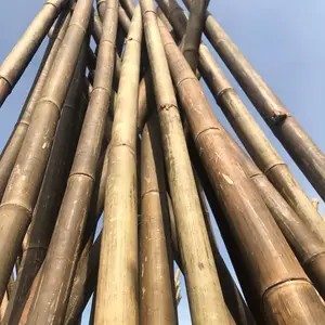 Bambou de grand diamètre bon marché pour la construction de meubles Ms sofia