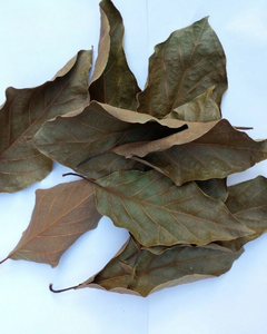 Fournisseur de thé aux herbes naturelles à base de feuilles d'avocat séchées de qualité supérieure - Product Image 5