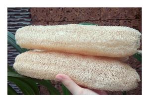 Lufa lufa cruda de alta calidad de Vietnam-mejor precio Luffa 100% natural barato con estándar de exportación - Product Image 3