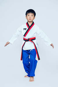 Durable 100% Cotton Fabric Traditional Taekwondo & Karate <b>Grappling</b> Dobok Uniform Breathable Custom Made Training for Kids - Product Image 6