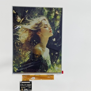 Módulo de Display E Ink de 13.<span class=keywords><strong>3</strong></span>'' (13.<span class=keywords><strong>3</strong></span> polegadas) com Atualização Rápida, Painel de Display E Ink Colorido, Tela E Ink - Product Image 4