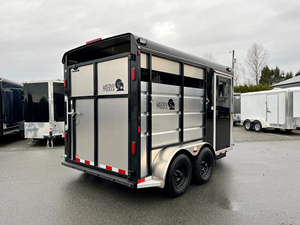 Maverick Enclosed Horse <b>Trailer</b> Dual Axle Black With Silver Panels Side Door Access - Product Image 4