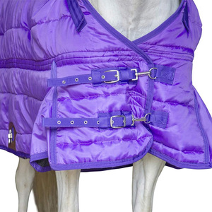 최고의 품질-여름 말 깔개 말 야외 스포츠 곤충 버스터 플라이 말 시트 사용자 정의 로고 - Product Image 2