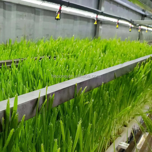 Climate Controlled Fodder Container for <b>Barley</b> Grass Animal Feed Growing in Cold and Dry Areas - Product Image 3