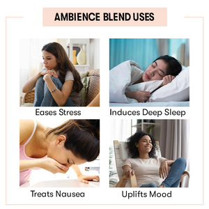 100% Organic And Pure Fruit Fragrance Ambience Synergy Blend Set For Aromatherapy <b>Diffusers</b> Bulk Price - Product Image 4