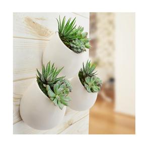 La conception à la mode industrielle de jardinières galvanisées par mur de luxe ajoute le regard élégant élégant aux espaces d'intérieur ou extérieurs - Product Image 5