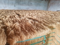 Fibre de coco brute en gros – Produit agricole naturel à base de coco coir