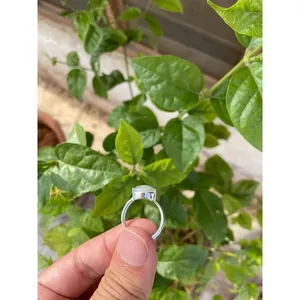 925 Silver Natural Sapphire <b>Ring</b> <b>Adjustable</b> Fine Jewelry for Engagement Princess Cut Inlay with Trendy Style Number Animal Shape - Product Image 4