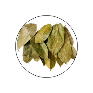 ใบทุเรียนเทศออร์แกนิก100%/guanabana แห้ง/graviola // // Kevin - Product Image 1