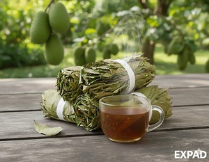 Hojas de guanábana secas naturales - Product Image 1