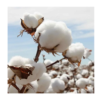 Fournisseur de prix de gros : Achetez du coton brut 100% et du coton biologique 100%