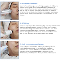 Livraison rapide, microdermabrasion professionnelle Hydra 6 en 1, machine faciale de raffermissement de la peau par hydrodermabrasion