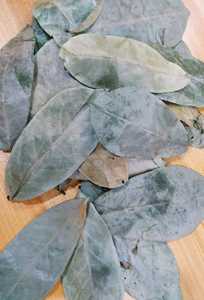 Offre Spéciale 100% Graviola au corossol biologique séchée naturellement au meilleur prix, fabriqué au Vietnam - Product Image 2