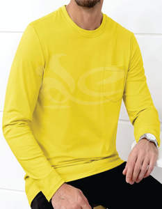 Logo personnalisé lourd 100% coton de haute qualité T-Shirt hommes Slim Fit anti-rides col rond manches longues respirant Streetwear - Product Image 3