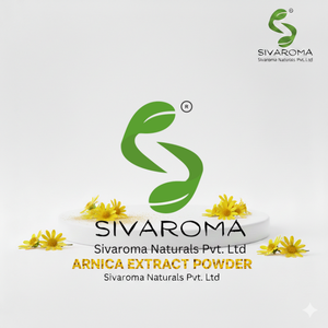 Poudre d'extrait sec d'arnica pour les acheteurs en gros dans l'industrie des soins de la peau et de la beauté - Product Image 6