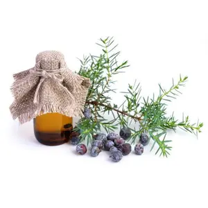 100% Pure Juniper Berry Essential Oil Wholesale Price Juniper Berry Oil For Fragrances And Cosmetic Use