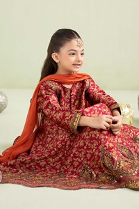 Robe Salwar Kameez en acrylique brodée pour filles pakistanaises, tenue de soirée formelle pour mariage, anniversaire, événements - Product Image 2