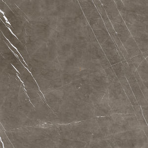 Azulejos de Granito Chino, Mármol Italiano, Azulejos Impresos para Pisos, Fabricación en India para Centros Comerciales. - Product Image 2