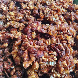 เมล็ดมะขามแห้งจากเวียดนาม - Product Image 6