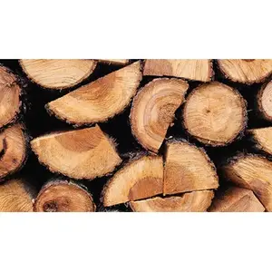 Toptan kaliteli fırın kurutulmuş odun meşe ve huş odun günlükleri | Fırın kurutulmuş huş odun satılık iyi fiyat