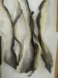 Peau de poisson basa séchée - Product Image 2