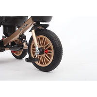 WQL Nouveau Tricycle de Luxe pour Enfants avec Cadre Métallique, Pare-Soleil et Barre de Poussée / Tricycle à 3 Roues pour Enfants, Poussette Pliante pour Enfants