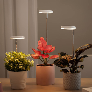 CE &amp; RoHS LED <strong>Plant</strong> Growth Lamp, Adjustable Desk <strong>Ring</strong> Grow Light for Indoor Garden, Seedlings and Succulents - Product Image 5