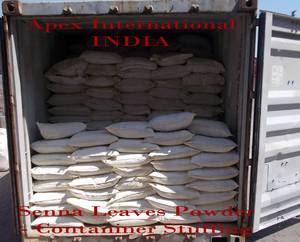 Graines de Moringa Graines de Moringa Oleifera Fournisseur Fabricant Apex International du Rajasthan avec une durée de conservation de 24 mois - Product Image 6