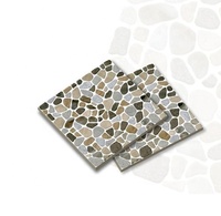 Carrelage extérieur commercial 30x30 en porcelaine vitrifiée, anti-décoloration, résistant à l'eau, antidérapant, finition mate, design européen