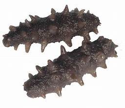 REMÈDE NATUREL POUR LE SYSTÈME IMMUNITAIRE ET NETTOYANT LE CITRON AMER RÉCOLTÉ SAUVAGE - Product Image 6