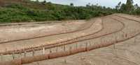 100% Rouleau de filet de contrôle de l'érosion en jute biodégradable naturel de haute qualité écologique du Bangladesh
