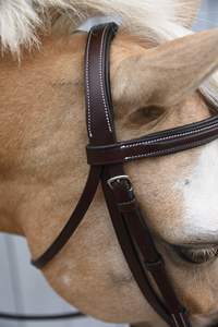 ราคาขายส่งคอกม้าขายส่งสีดําหนักแข็งแกร่งคอกม้าหนังอินเดียแท้สําหรับขาย - Product Image 5