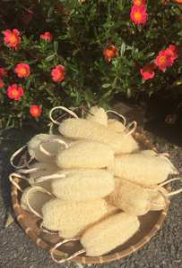 Éponges de luffa de qualité supérieure en gros 100% luffa biodégradable naturel exfoliant douche épurateur luffa écologique pour peau douce - Product Image 6