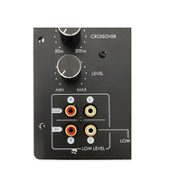 Amplificateur de puissance professionnel commutable ON / AUTO intégré 100W Amplificateur de plaque de subwoofer CLASS D