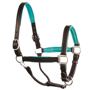 Haute qualité personnalisé Nylon cheval bride en cuir souple Style anglais licou différentes couleurs-Options de gros - Product Image 6