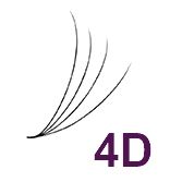 4D