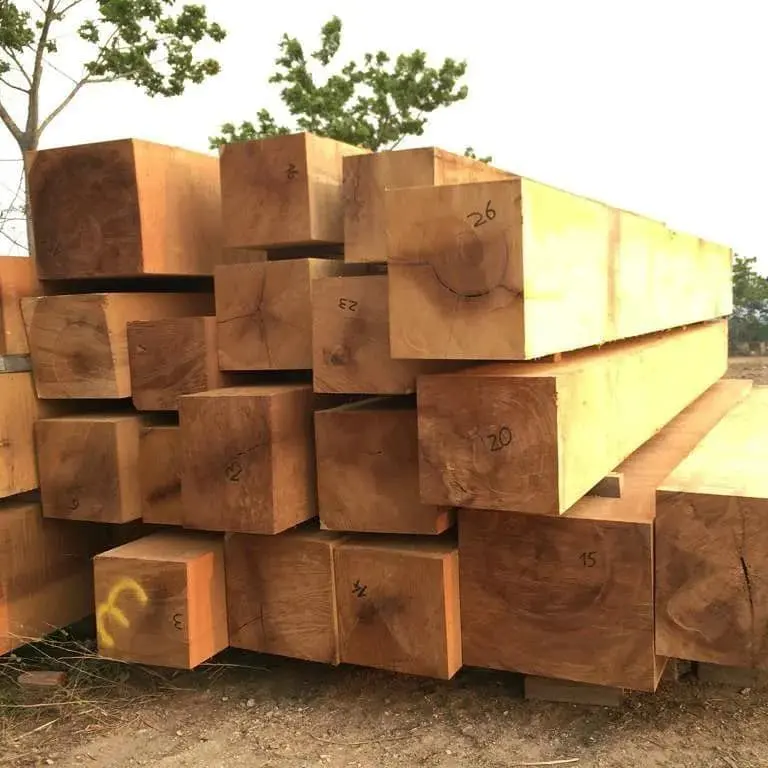 Legname e tronchi di legno disponibili per la vendita